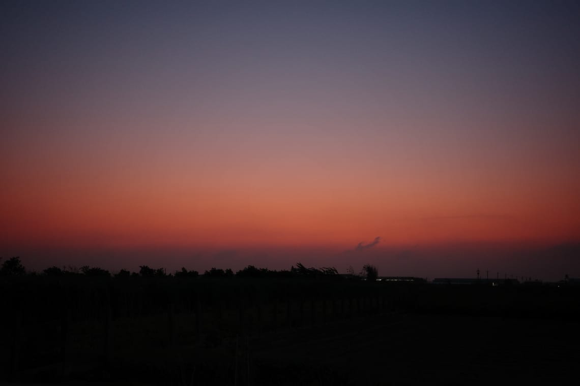 二林街拍 2026.02