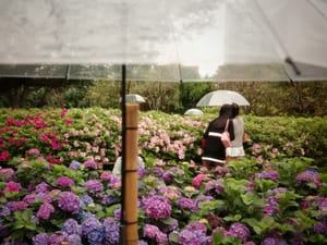 大安森林公園 2026.03